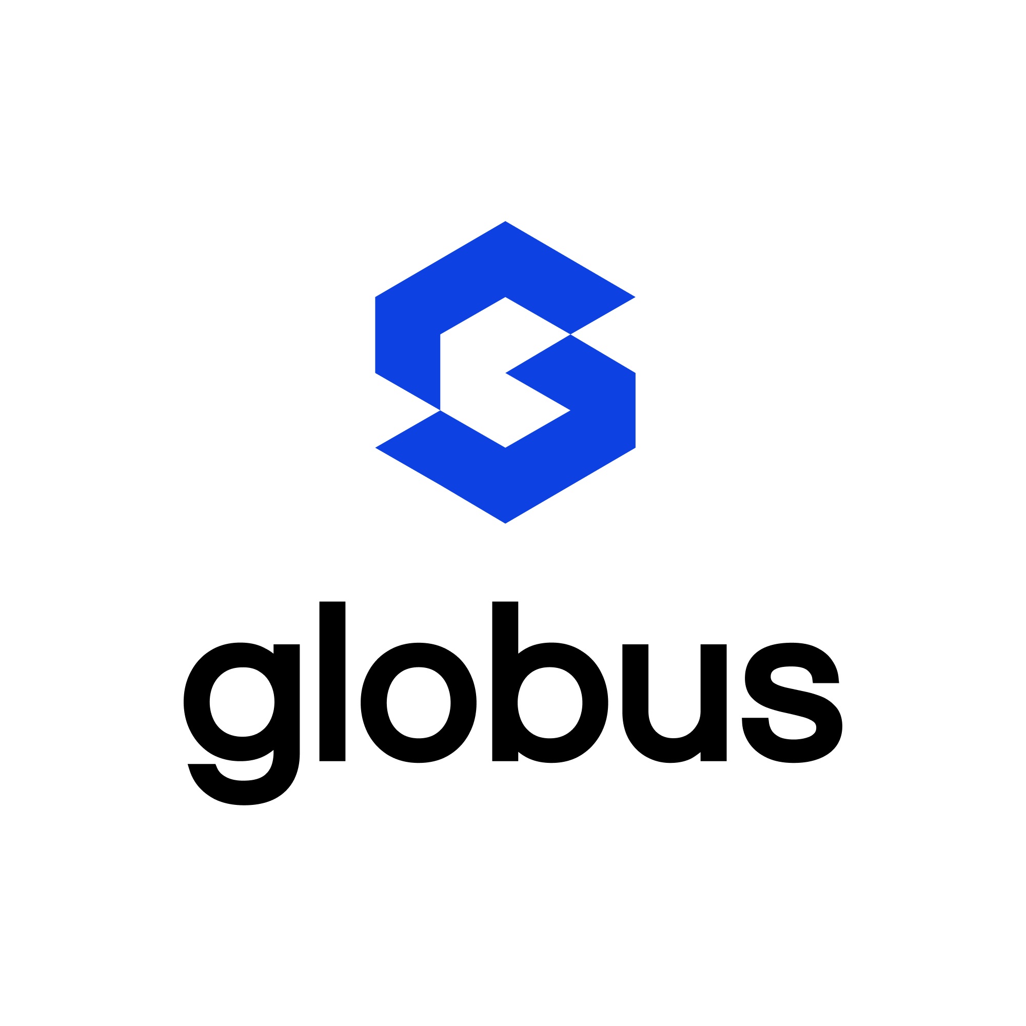 GLOBUS IT